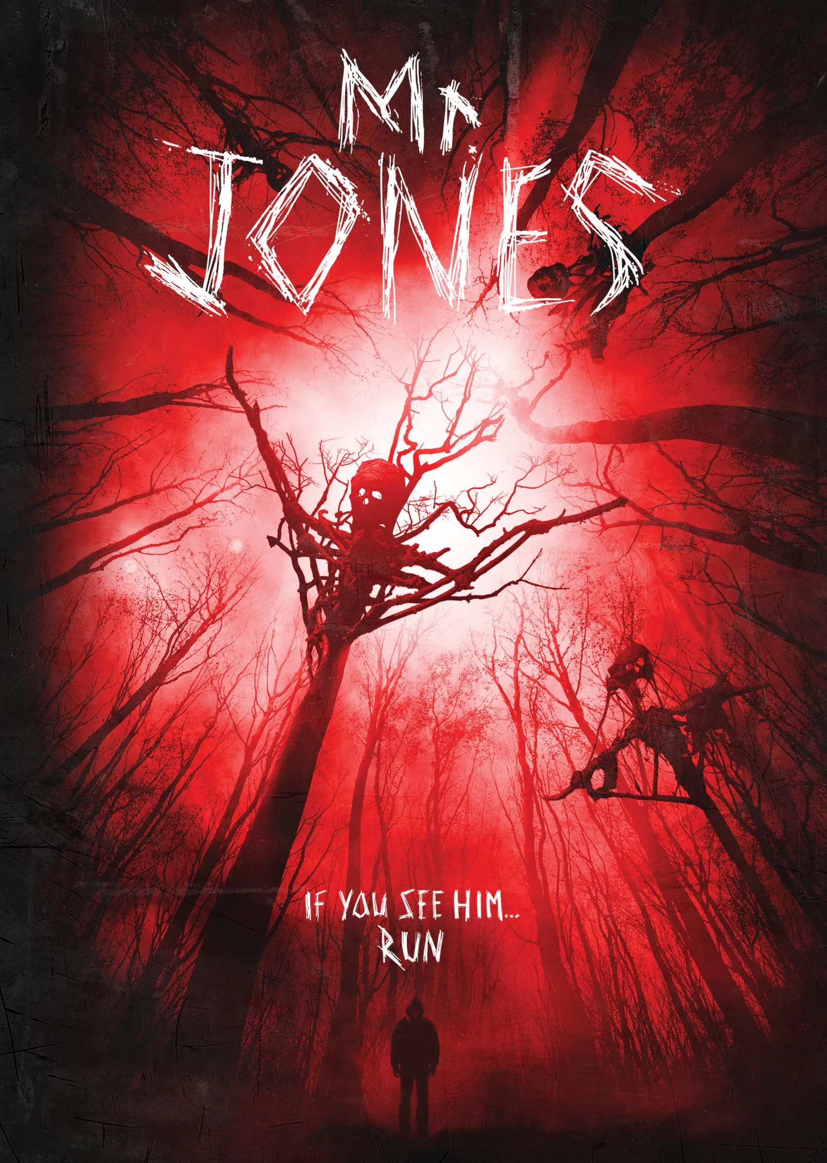  فیلم Mr. Jones 2013
