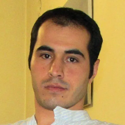 علیرضا رونقی